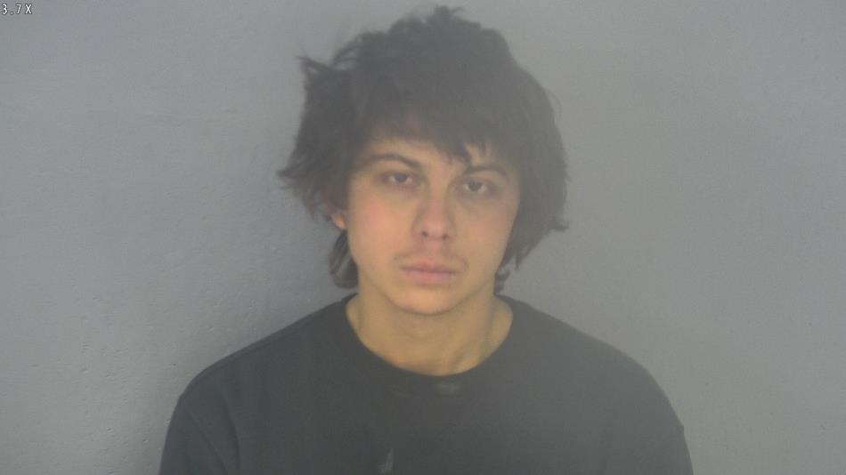 Arrest photo of BRANDEN GONZALEZ