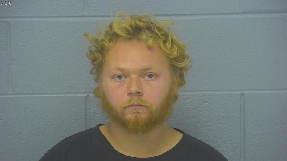 Arrest photo of BRANDEN ADAMS