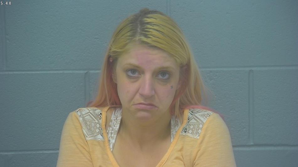 Arrest photo of BRANDI YONTS