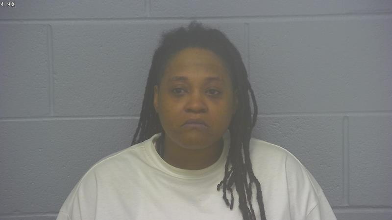 Arrest photo of BRANDI JOHNSON