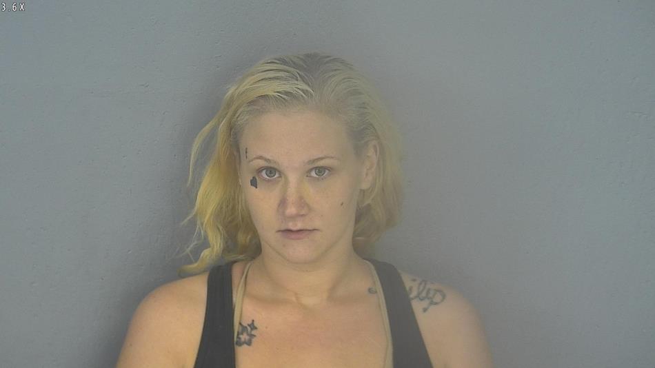 Arrest photo of BRANDI WINGER