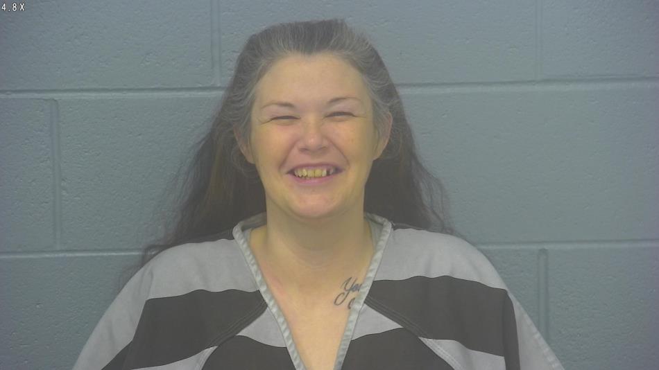 Arrest Photo of BRANDI NICKENS, arrested on 7/9/2024