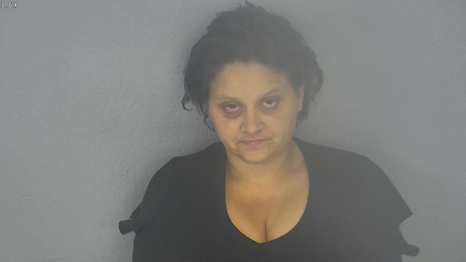 Arrest photo of BRANDIE HARBISON
