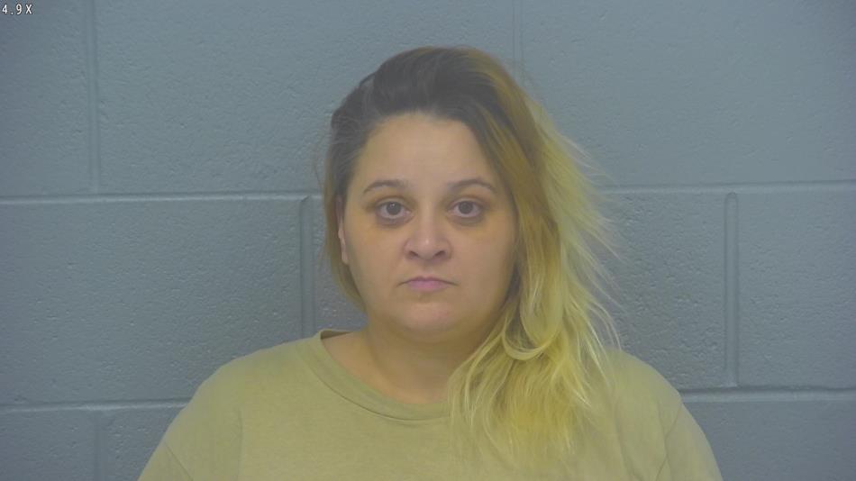 Arrest photo of BRANDIE HARBISON