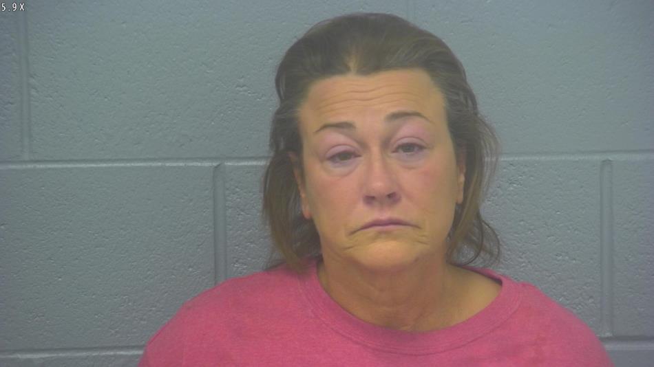 Arrest photo of BRANDIE HINES