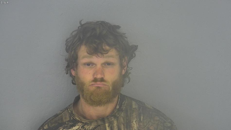 Arrest photo of BRANDON BROWN