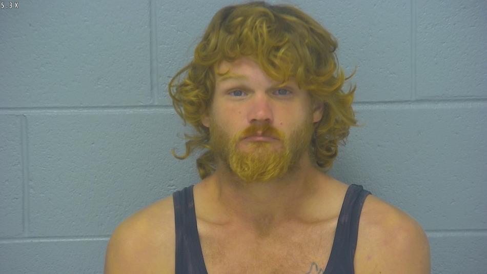 Arrest photo of BRANDON BROWN