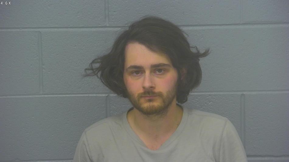 Arrest photo of BRANDON MARSH