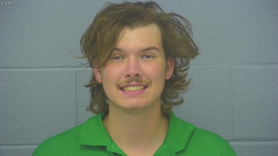 Arrest photo of BRANDON THEIMER