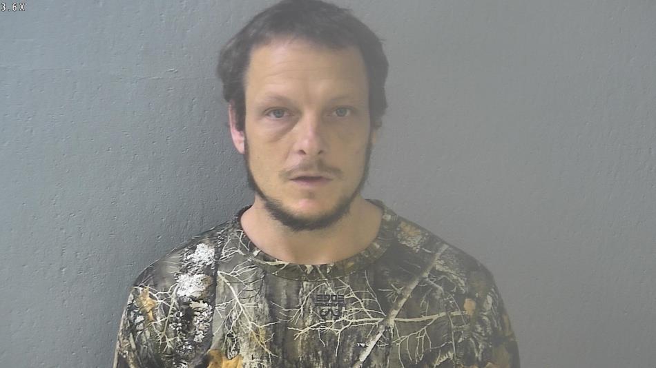 Arrest photo of BRANDON PATTERSON