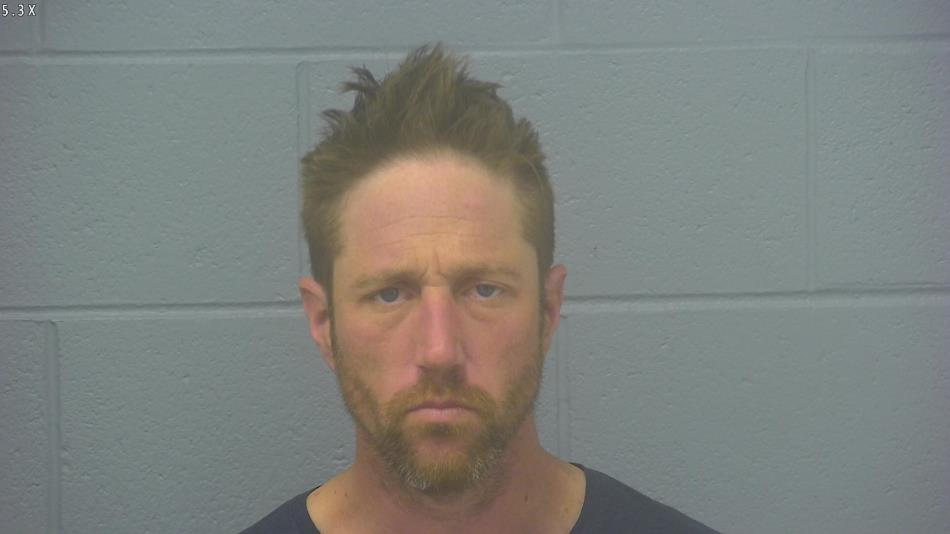 Arrest photo of BRANDON SCHNEIDER