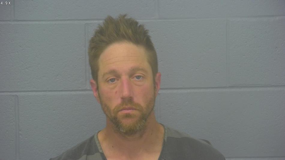 Arrest photo of BRANDON SCHNEIDER