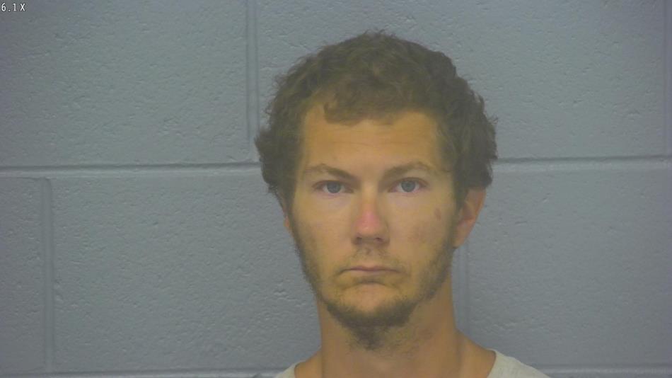 Arrest photo of BRANDON HENSON