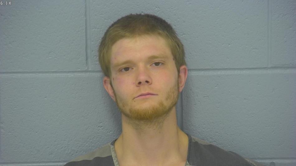 Arrest photo of BRANDON WILLIAMSON