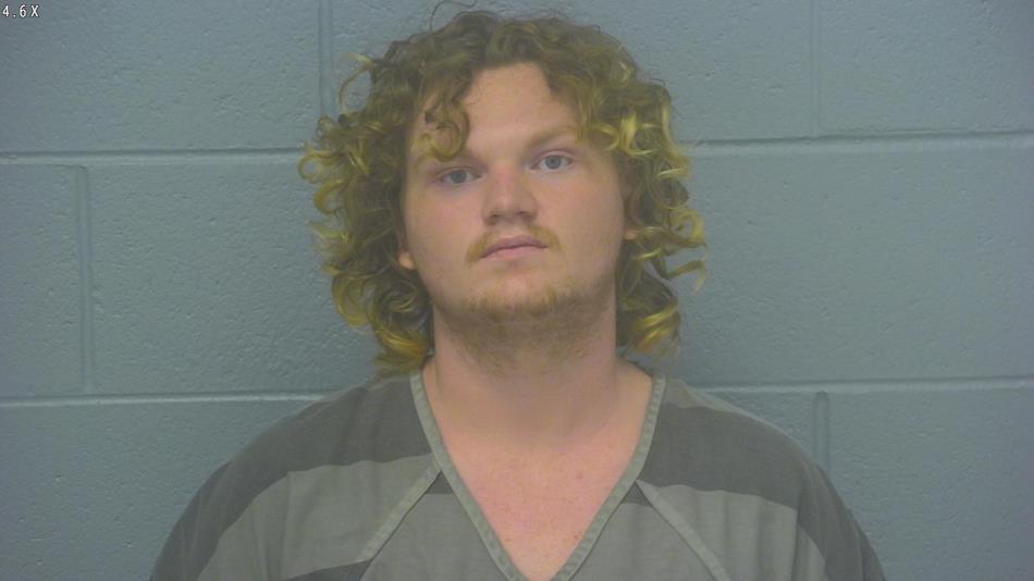 Arrest photo of BRANDON DOHLE