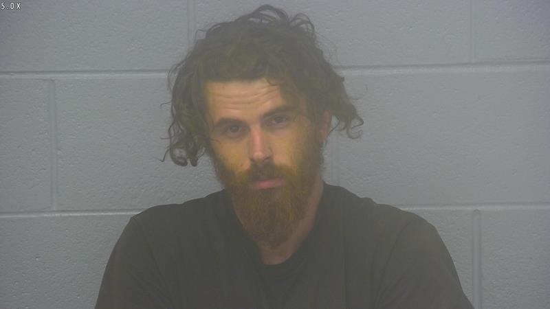 Arrest photo of BRANDON HARDISON