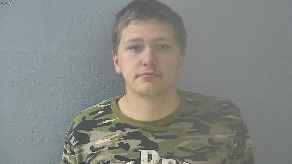 Arrest photo of BRANDON LAMM