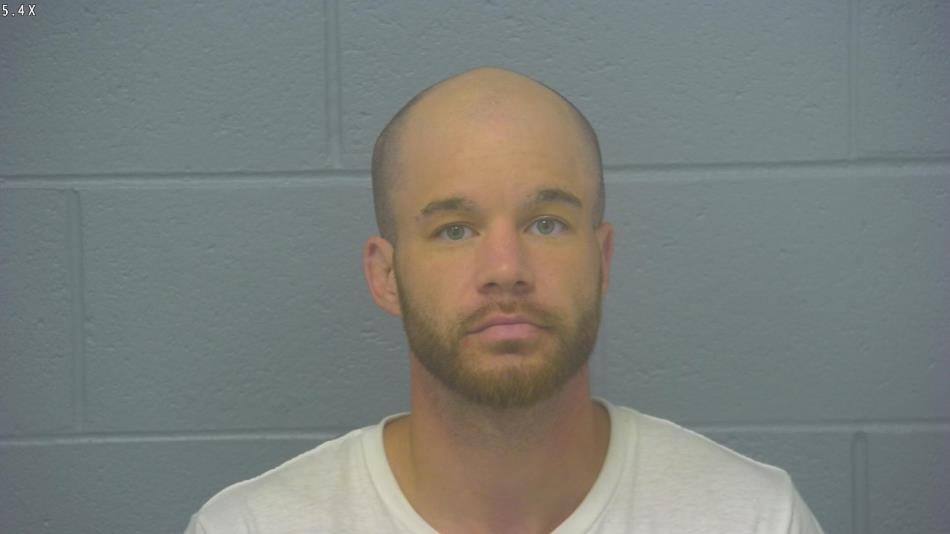 Arrest photo of BRANDON LUNDMARK