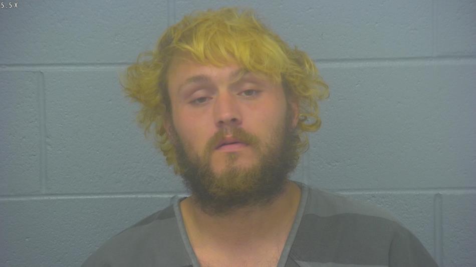 Arrest Photo of BRANDON WORLEY, arrested on 5/16/2024