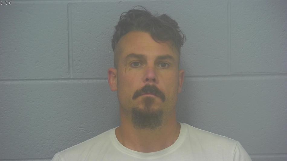 Arrest photo of BRANDON RICHARDSON