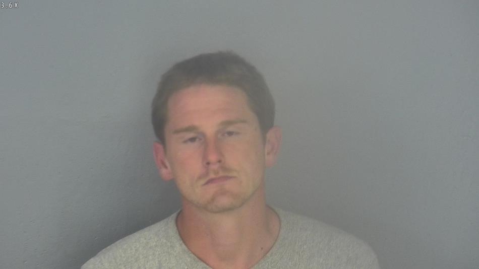 Arrest photo of BRANDON IVICSICS