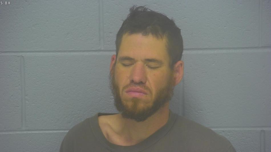 Arrest photo of BRANDON KING