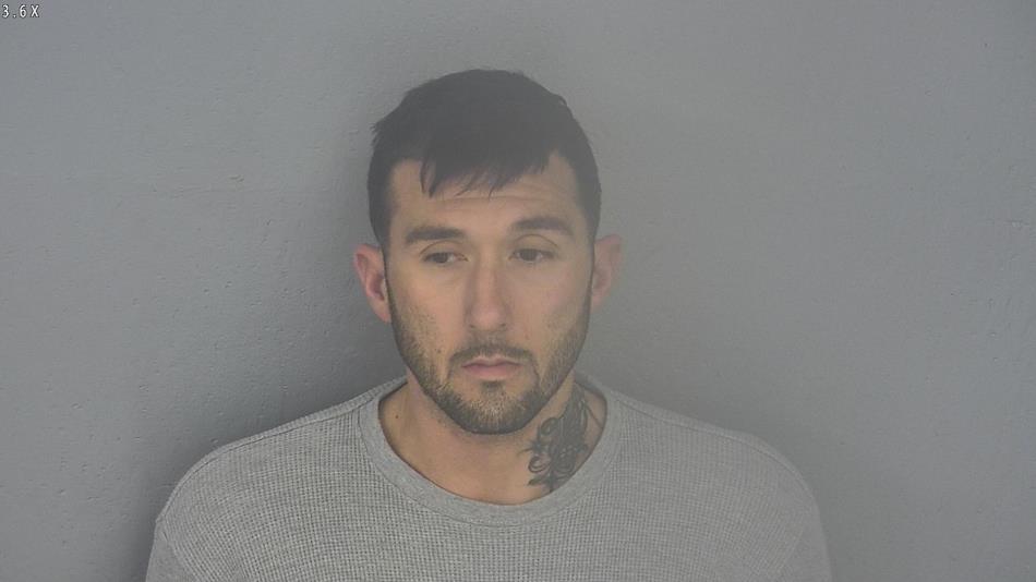 Arrest photo of BRANDON NOLAN
