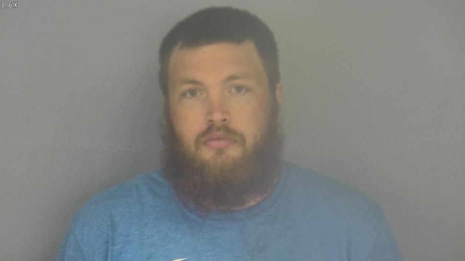 Arrest photo of BRANDON ENDICOTT