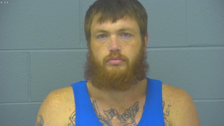 Arrest photo of BRANDON ENDICOTT