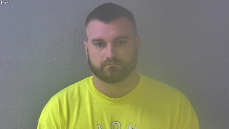 Arrest photo of BRANDON SHEPARD