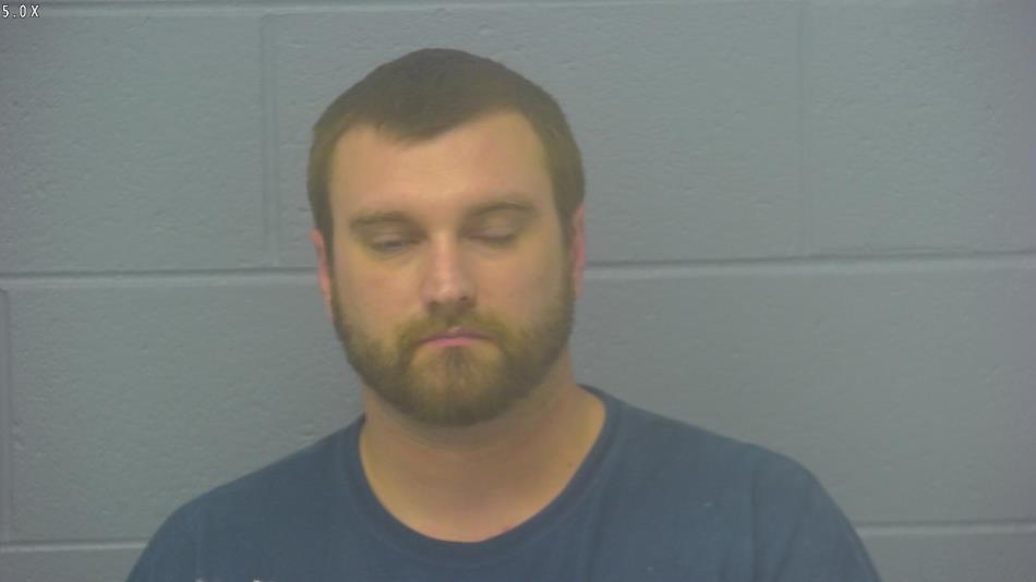 Arrest photo of BRANDON SHEPARD