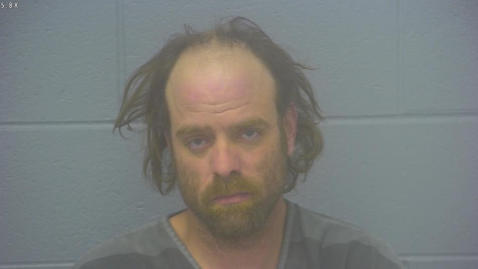 Arrest Photo of BRANDON SWOFFORD, arrested on 12/21/2024