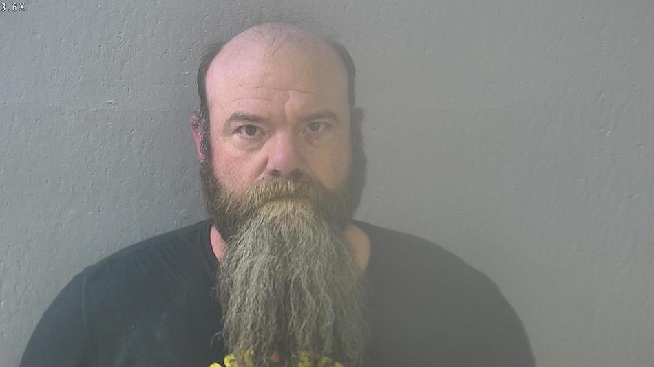 Arrest photo of BRANDON PALMER