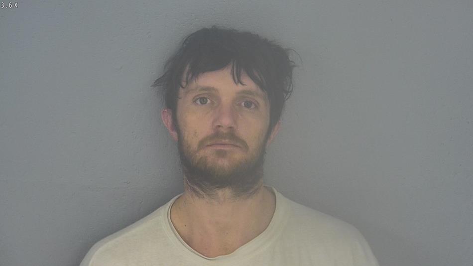 Arrest photo of BRANDON MORRIS