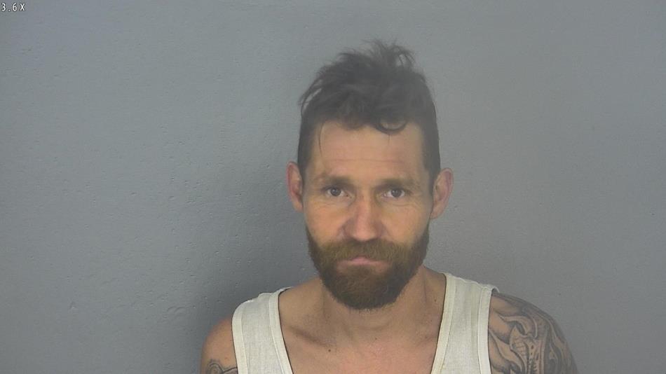 Arrest photo of BRANDON STAFFORD