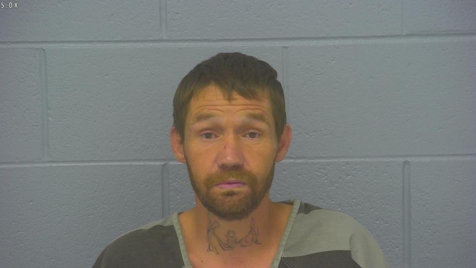 Arrest photo of BRANDON STAFFORD