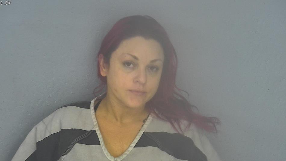 Arrest photo of BRANDY BAKER