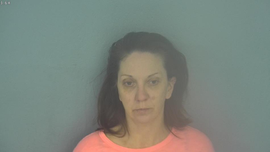 Arrest photo of BRANDY WALKER