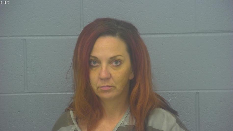 Arrest photo of BRANDY WALKER