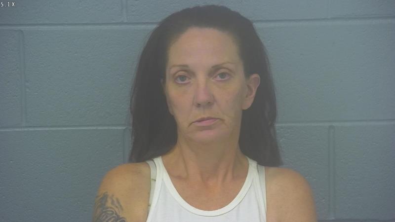 Arrest photo of BRANDY WALKER