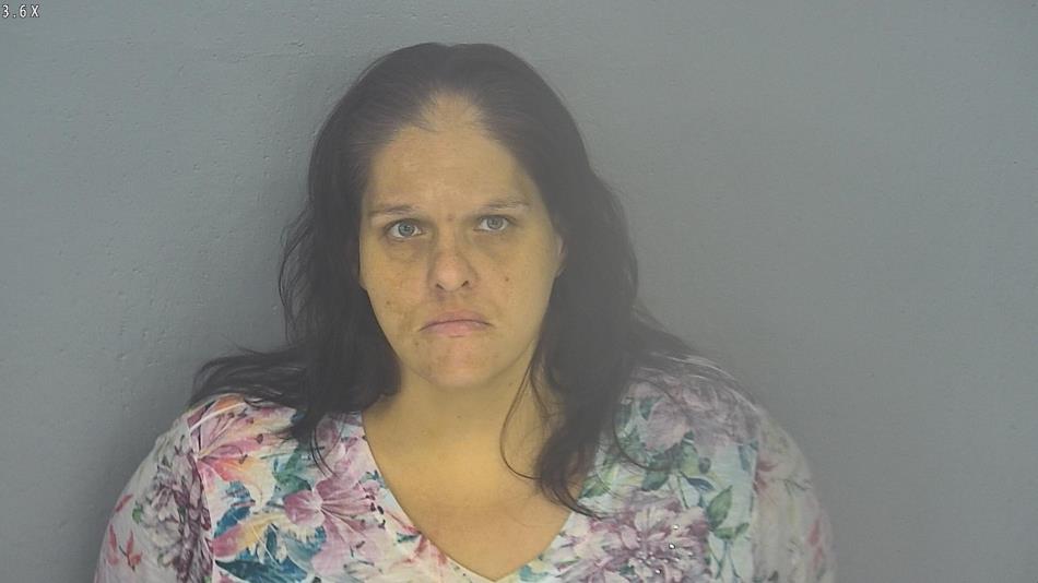 Arrest photo of BRANDY DODSON