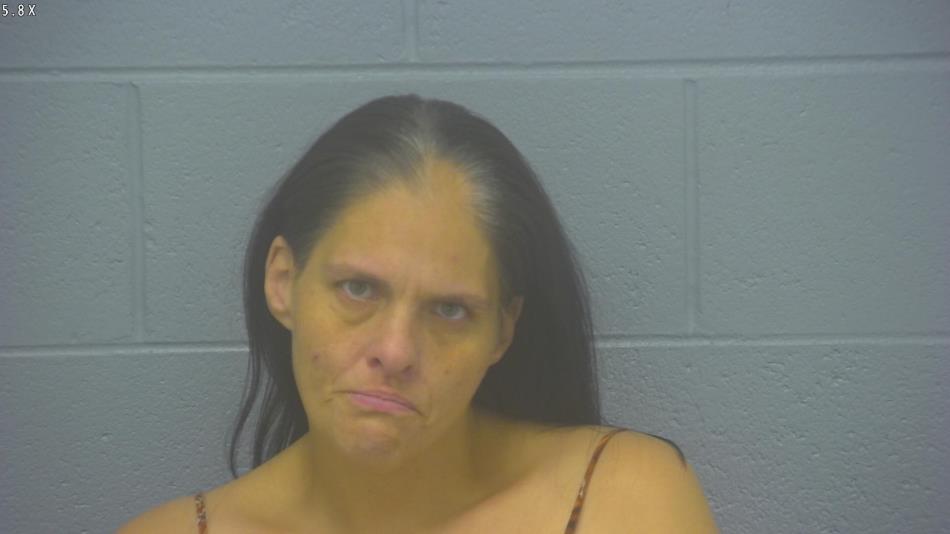 Arrest Photo of BRANDY DODSON, arrested on 3/22/2024