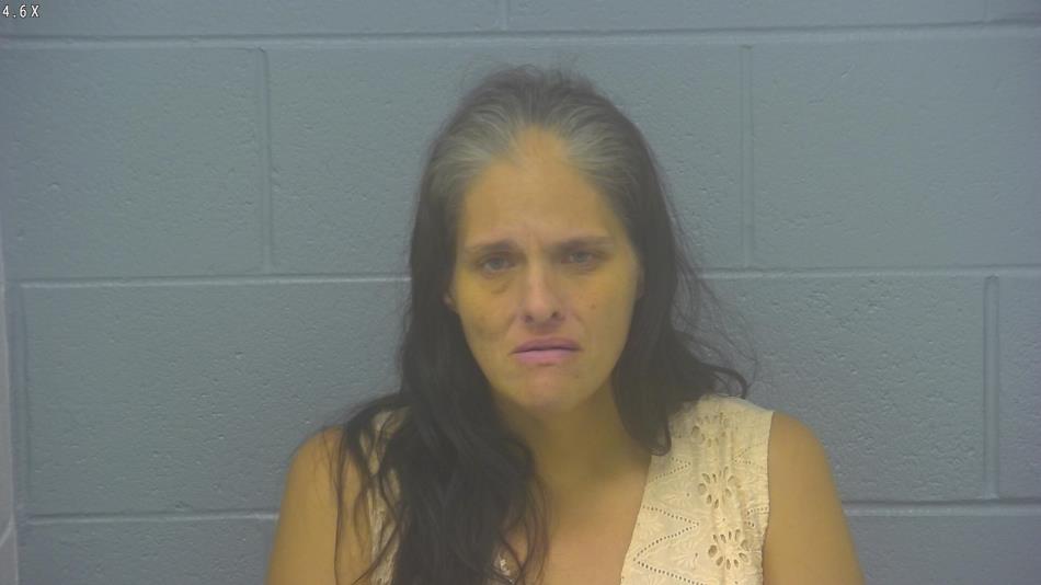 Arrest Photo of BRANDY DODSON, arrested on 5/23/2024