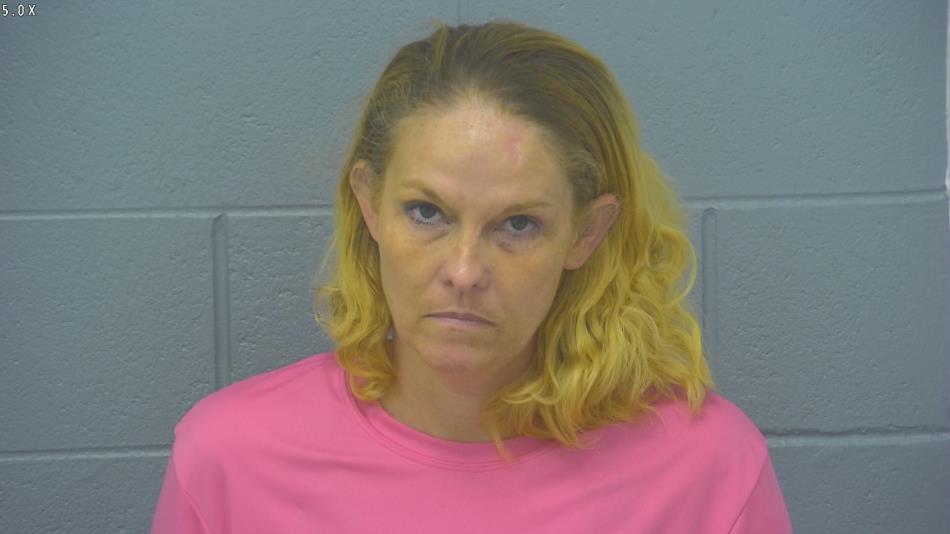 Arrest photo of BRANDY STORMENT