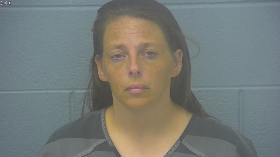 Arrest photo of BRANDY HAMRICK