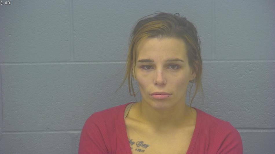 Arrest Photo of BRANDY FITZPATRICK, arrested on 12/12/2024