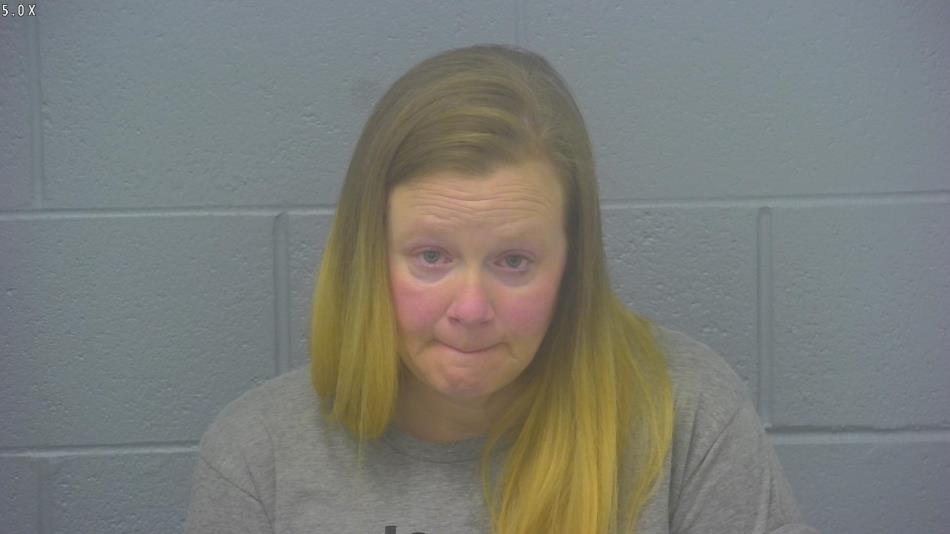 Arrest photo of BRANDY CARLSON