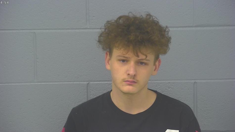 Arrest photo of BRAXTON VANTHOURNOUT