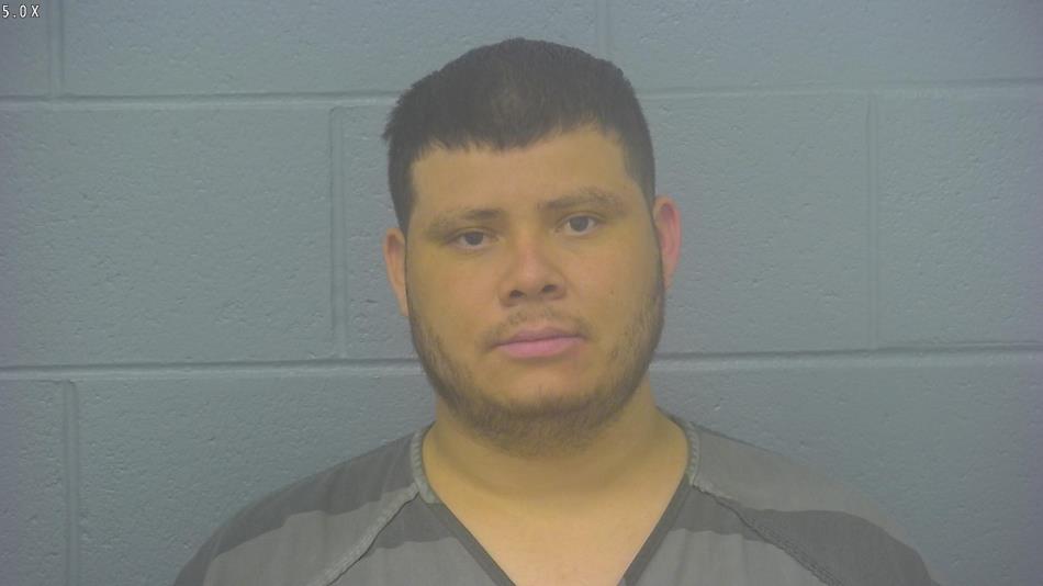 Arrest photo of BRAYAN BOJORQUEZ