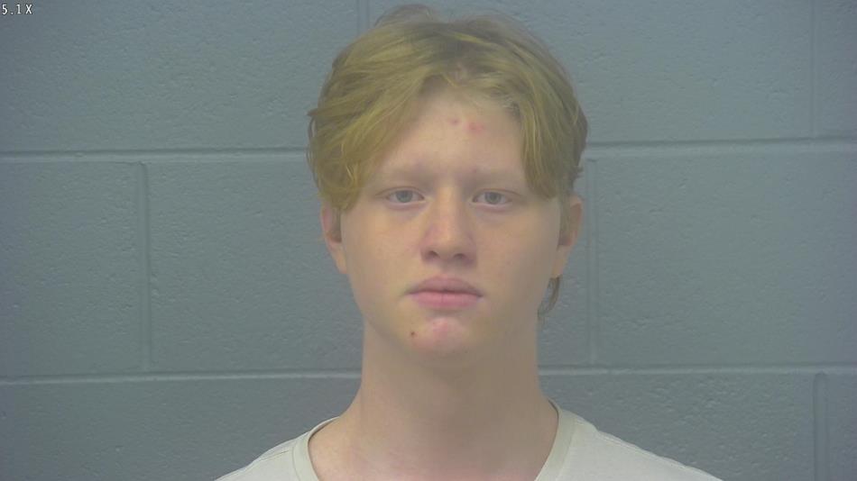 Arrest photo of BRAYTON LOUTHAN